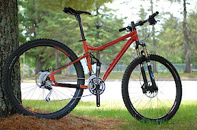 2009 Salsa - Big Mama (29 inch)